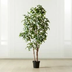 Banyan Leaf Tree 6'