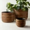 Basket Burnt Rattan Planters -marin sHOP BasketBurntRattanPlntrGrpFHS22