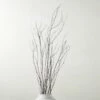 Decorative Black Birch Branches 50'' -marin sHOP BirchBranchesBlack50SHS23