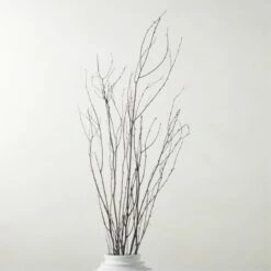 Decorative Black Birch Branches 50''