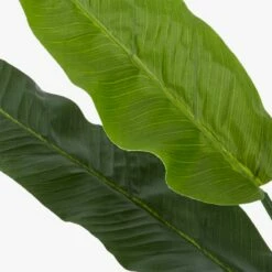 Potted Faux Bird Of Paradise 6' -marin sHOP BirdOfParadiseAVF17