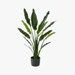 Potted Faux Bird Of Paradise 6' -marin sHOP BirdOfParadiseF17