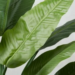 Potted Faux Bird Of Paradise 6' -marin sHOP BirdOfParadiseROF17