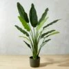 Potted Faux Bird Of Paradise 6' -marin sHOP BirdOfParadiseSH17