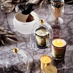 Glass Cloche With Unlacquered Brass Knob -marin sHOP CB2HOL21 08A 0221 Hero2