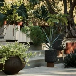 Clemente Footed Clay Indoor/Outdoor Planter Medium -marin sHOP CB2SP22 LF 10A V220copy