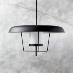 Exposior Indoor/Outdoor Black Pendant Light Model 017