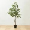 Faux Ficus Tree 6' 1 Faux Ficus Tree 6' -marin sHOP FauxFicusTree6p25ftSHS23