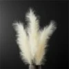 Faux Pampas Grass Ivory Stem 39" Set Of 3 1 Faux Pampas Grass Ivory Stem 39" Set Of 3 -marin sHOP FauxPampasGrassIvoryStemS3SHF20
