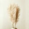 Faux Pampas Grass Taupe Stem 39" Set Of 3 -marin sHOP FauxPampasGrassTaupeStemS3SHF20