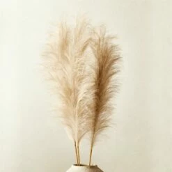Faux Pampas Grass Taupe Stem 39" Set Of 3