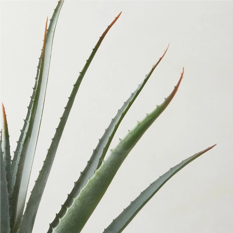 Faux Potted Aloe Vera Plant 26" 4 Faux Potted Aloe Vera Plant 26" - Image 2