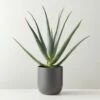Faux Potted Aloe Vera Plant 26" -marin sHOP FauxPottedAloe24p5inSHS23