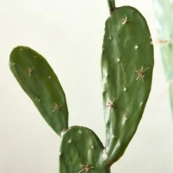 Faux Potted Cactus Plant 4'9'' -marin sHOP FauxPottedCactus4p9inAVSHS23