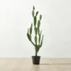 Faux Potted Cactus Plant 4'9'' 1 Faux Potted Cactus Plant 4'9'' -marin sHOP FauxPottedCactus4p9inSHS23
