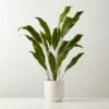 Faux Potted Iron Leaf Plant 35" 1 Faux Potted Iron Leaf Plant 35" -marin sHOP FauxPottedIronLeaf37inSHS23