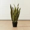 Faux Potted Snake Plant 3' -marin sHOP FauxSnakePlantSHF20