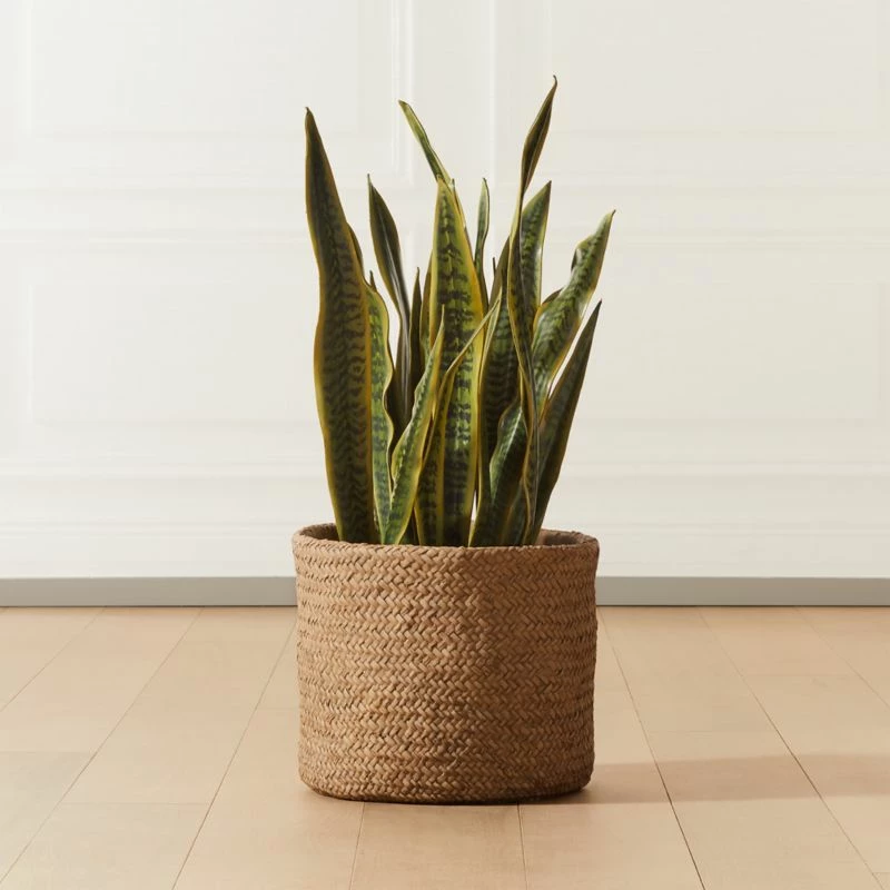 Faux Potted Snake Plant 3' 4 Faux Potted Snake Plant 3' - Image 2