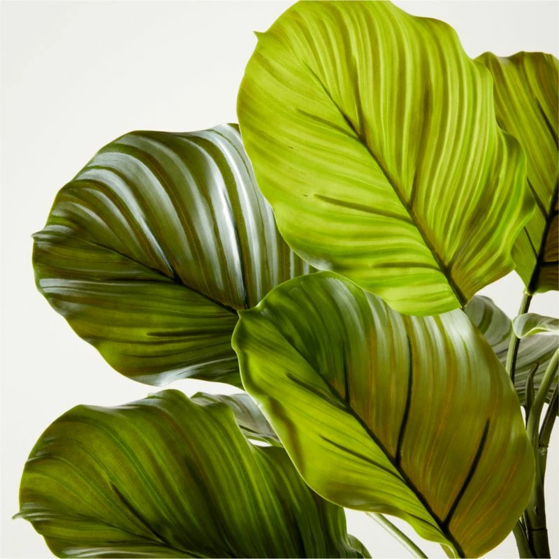 Faux Potted Watermelon Peperomia Plant 24" 4 Faux Potted Watermelon Peperomia Plant 24" - Image 2