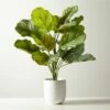 Faux Potted Watermelon Peperomia Plant 24"