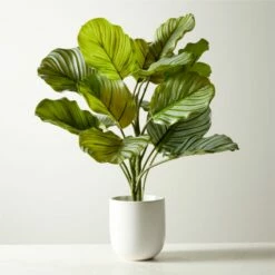 Faux Potted Watermelon Peperomia Plant 24"