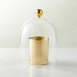 Glass Cloche With Unlacquered Brass Knob -marin sHOP GlassClocheROS23