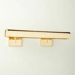 Jolie Polished Brass Picture Light Sconce 24''