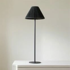 Slight Table Lamp With Black Shade