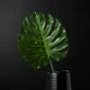 Faux Monstera Leaf 41" -marin sHOP MonsteraLeaf41inSHS18