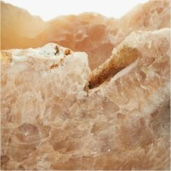 Onyx Raw Edge Stone Bowl 25 Onyx Raw Edge Stone Bowl -marin sHOP OnyxNFossilBowlAVS19