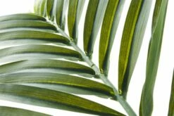 Faux Phoenix Palm Leaf 44" 9 Faux Phoenix Palm Leaf 44" -marin sHOP PhoenixPalm44inAVS17