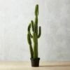 Potted Faux Cardón Cactus 5' -marin sHOP PottedCactus60inSHS17
