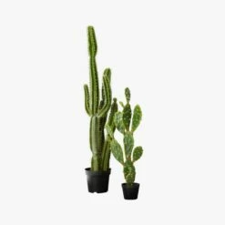 Potted Faux Cardón Cactus 5' -marin sHOP PottedCactusGroupS17