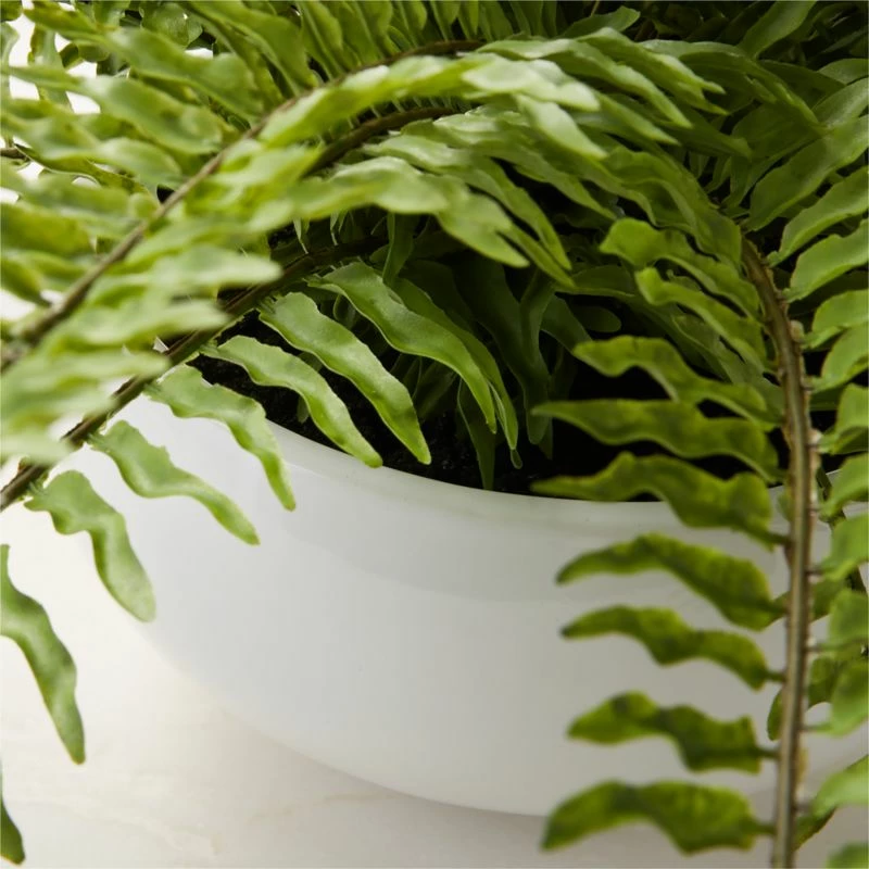 Faux Potted Fern Plant 10" 4 Faux Potted Fern Plant 10" - Image 2