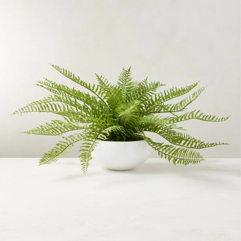 Faux Potted Fern Plant 10" 3 Faux Potted Fern Plant 10"