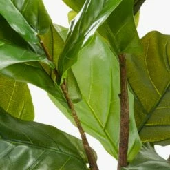 Potted Faux Fiddle Leaf Fig 5' 15 Potted Faux Fiddle Leaf Fig 5' -marin sHOP PottedFiddleLeafFigAV2F17