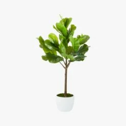 Potted Faux Fiddle Leaf Fig 5' 13 Potted Faux Fiddle Leaf Fig 5' -marin sHOP PottedFiddleLeafFigF17