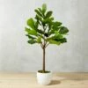 Potted Faux Fiddle Leaf Fig 5' -marin sHOP PottedFiddleLeafFigSHF17