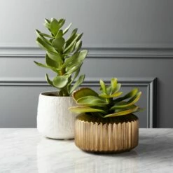 Potted Faux Succulent 14" -marin sHOP PottedSucculentGroupFHS18