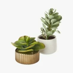 Potted Faux Succulent 14" -marin sHOP PottedSucculentGroupS18