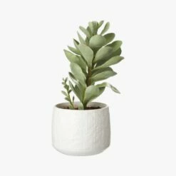 Potted Faux Succulent 14" -marin sHOP PottedSucculentWhitePotS18