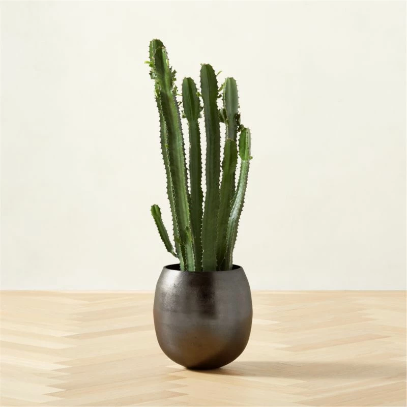 Rough Cast Black Metal Indoor Planter Small 5 Rough Cast Black Metal Indoor Planter Small - Image 3