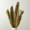 Sago Dried Palm Leaf Bunch 27"-34"