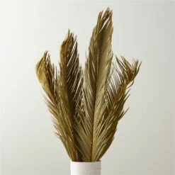 Sago Dried Palm Leaf Bunch 27"-34"