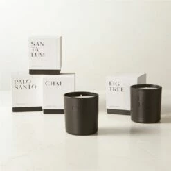 Stockhome Palo Santo Scented Candle 8oz -marin sHOP StockhomeCandleGroupFHF23 2