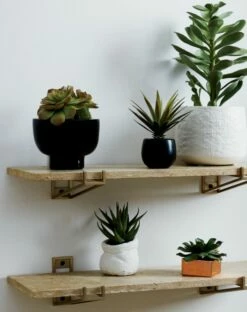 Potted Faux Succulent 14" -marin sHOP TravertineStoneShelfAG18